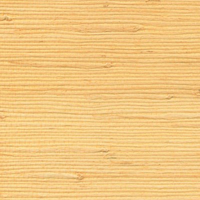 naturalnye-oboi-cosca-kalimantan8