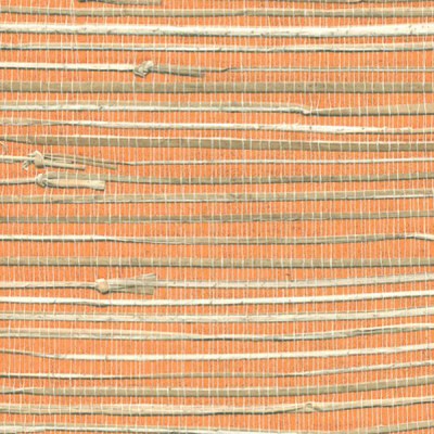 naturalnye-oboi-cosca-nias7