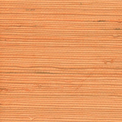 naturalnye-oboi-cosca-symatra3