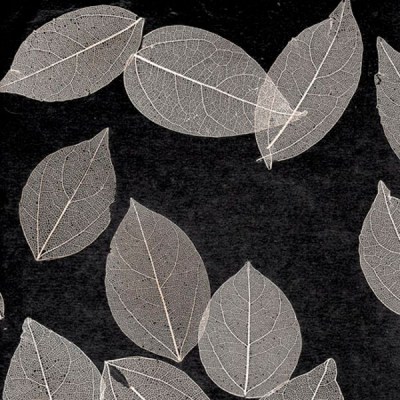 naturalnye-oboi-listya-prima-noche