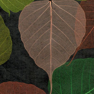 naturalnye-oboi-listya-prima-verde7